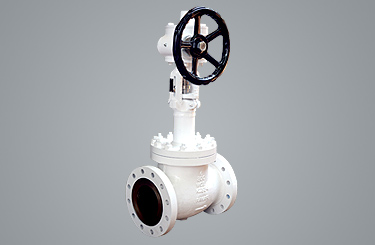 Pneumatic and Manual Bellow Seal Valve