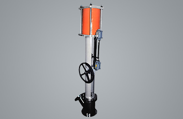 Pneumatic and Manual Flush Bottom Valve
